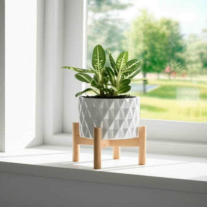 6-ceramic-diamond-planter-w-wood-stand-white-12