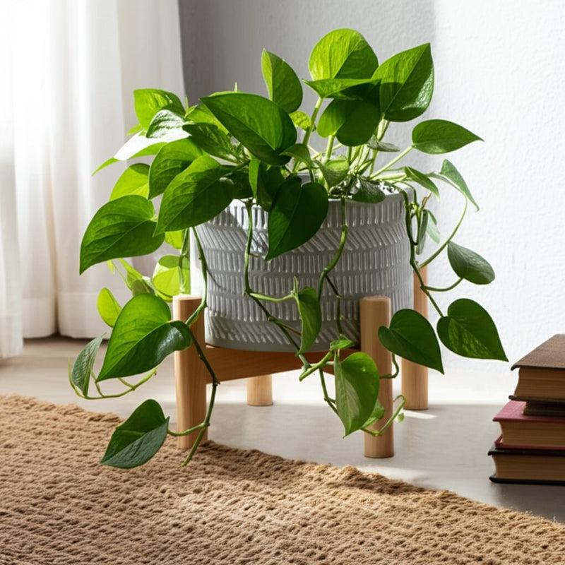 6-ceramic-tribal-planter-w-wood-stand-beige-12
