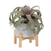 6-ceramic-tribal-planter-w-wood-stand-beige-4