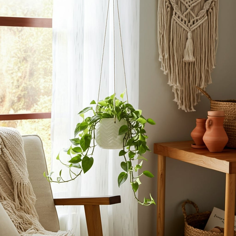 6-chevron-hanging-planter-10