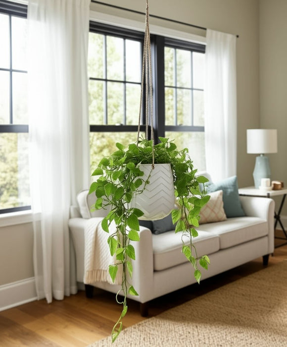 6-chevron-hanging-planter-13