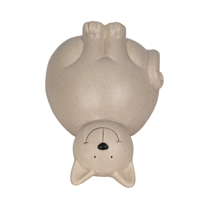 6-chubby-kitty-grey-6