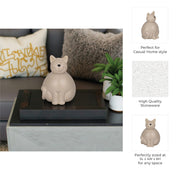 6-chubby-kitty-grey-9