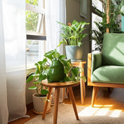 6-dark-green-frog-candle-4