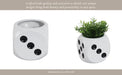 6-dice-planter-white-black-10
