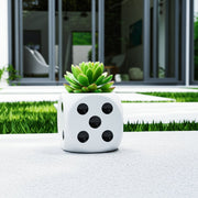 6-dice-planter-white-black-9