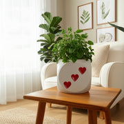 6-dice-planter-white-red-11