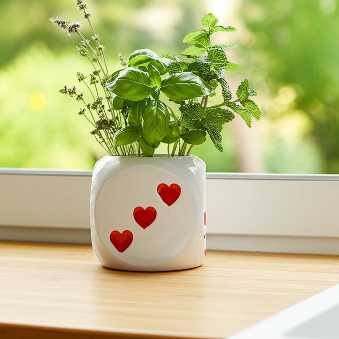 6-dice-planter-white-red-12