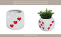 6-dice-planter-white-red-14