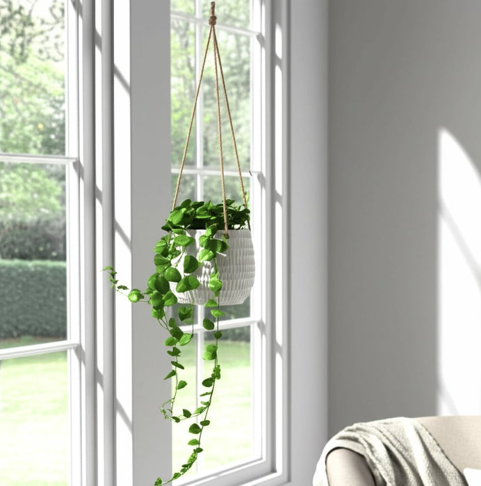 6-dimpled-hanging-planter-white-13
