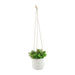 6-dimpled-hanging-planter-white-3