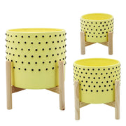 6-dotted-planter-w-wood-stand-yellow-2