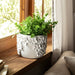 6-floral-applique-planter-white-11