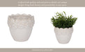 6-floral-crown-planter-ivory-10