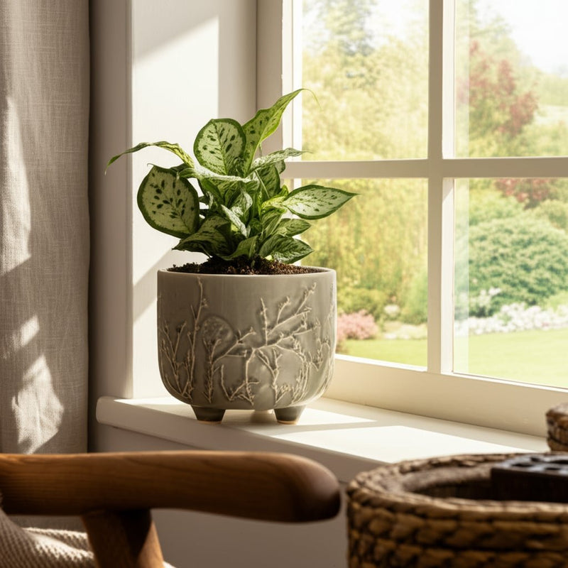 6-flower-branches-planter-cream-10
