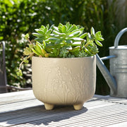 6-flower-branches-planter-cream-12