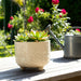 6-flower-branches-planter-cream-13