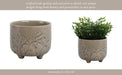 6-flower-branches-planter-cream-14