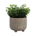 6-flower-branches-planter-cream-2