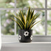 6-flower-power-planter-black-white-12