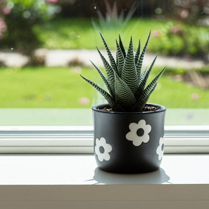 6-flower-power-planter-black-white-13