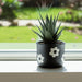 6-flower-power-planter-black-white-13