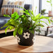 6-flower-power-planter-black-white-14