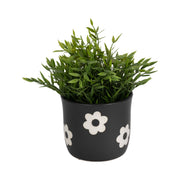 6-flower-power-planter-black-white-2