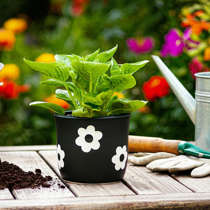 6-flower-power-planter-black-white-9