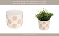 6-flower-power-planter-white-tan-10