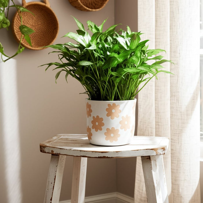 6-flower-power-planter-white-tan-8