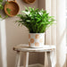 6-flower-power-planter-white-tan-8