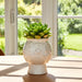6-grandma-face-planter-white-4