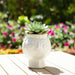 6-grandma-face-planter-white-5