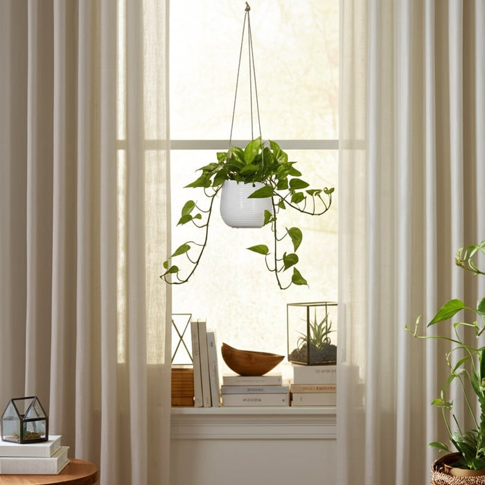 6-hanging-planter-white-10