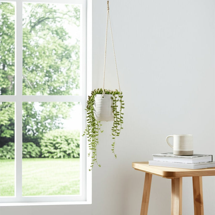 6-hanging-planter-white-12