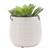 6-hanging-planter-white-4
