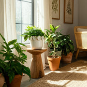 6-leaf-applique-planter-cream-10
