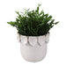 6-leaf-applique-planter-cream-1