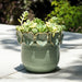 6-leaf-applique-planter-green-10