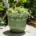 6-leaf-applique-planter-green-11