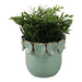 6-leaf-applique-planter-green-2