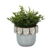 6-leaf-applique-planter-seafoam-2
