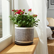 6-mesh-design-planter-w-saucer-gray-7
