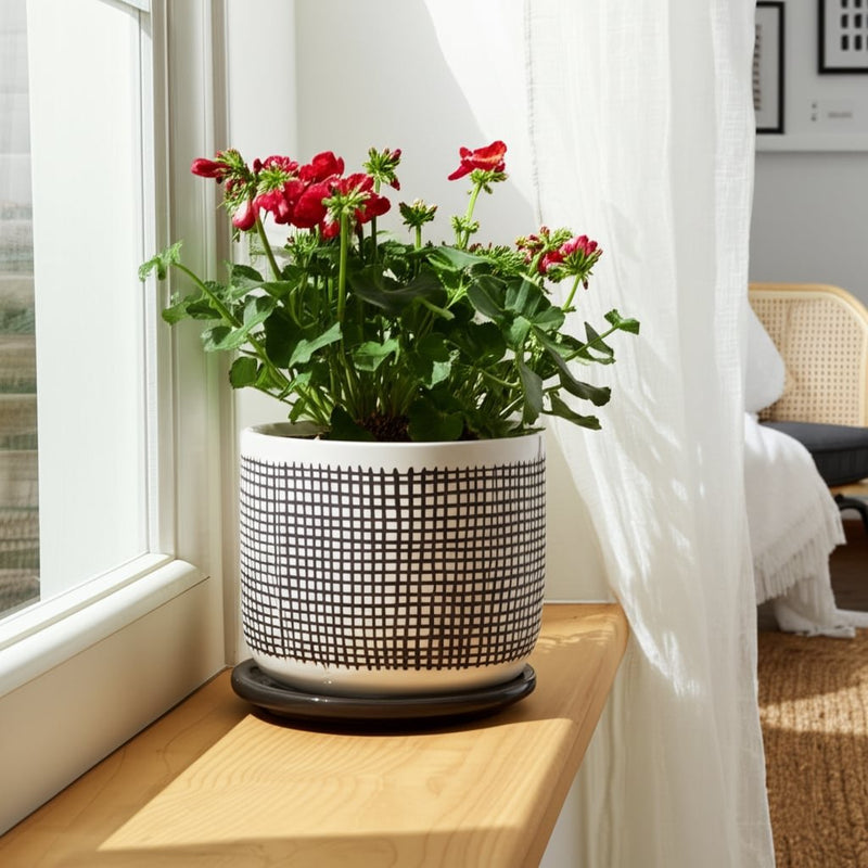 6-mesh-design-planter-w-saucer-gray-7