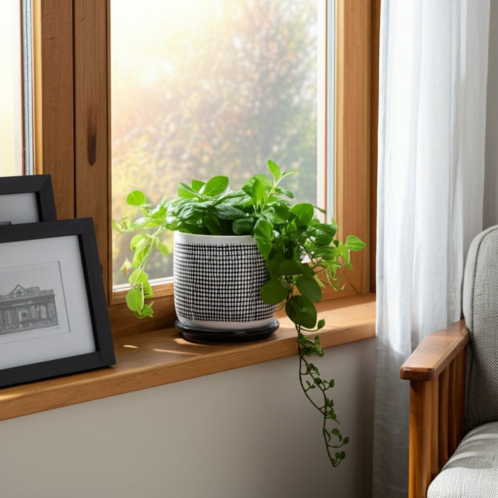 6-mesh-design-planter-w-saucer-gray-8