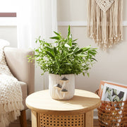 6-mushroom-applique-planter-grey-10