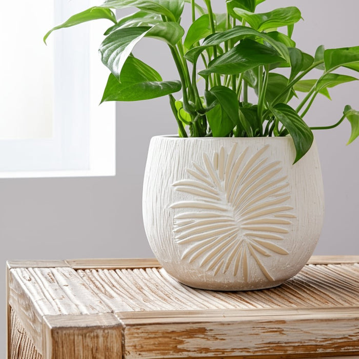 6-pampas-on-rounded-planter-ivory-12