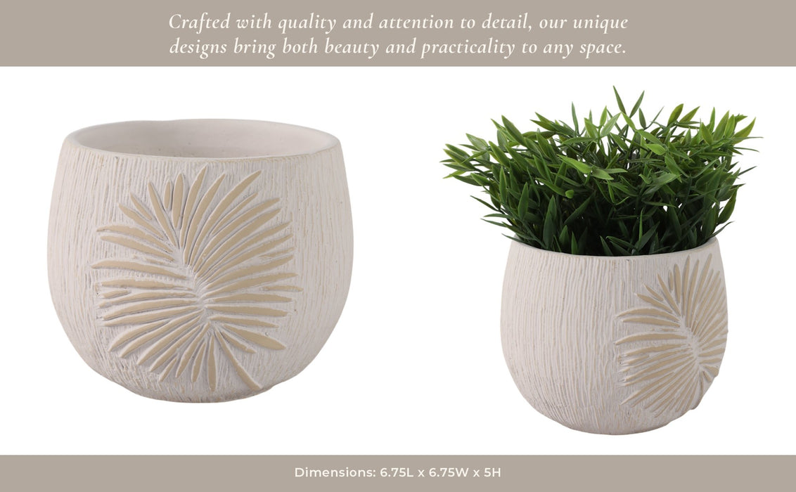 6-pampas-on-rounded-planter-ivory-14