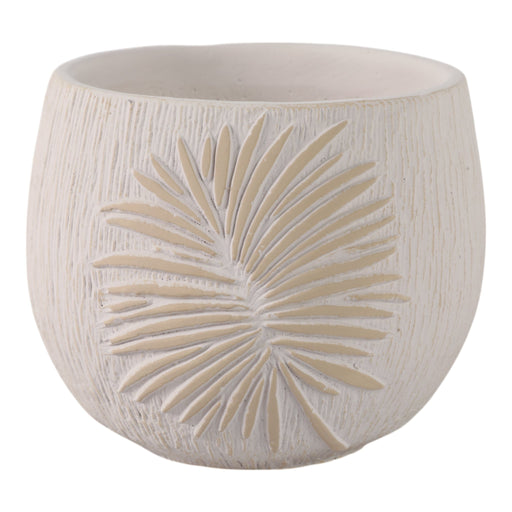 6-pampas-on-rounded-planter-ivory-1